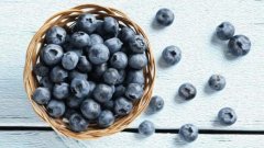 蓝莓的功效与作用,蓝莓的营养价值,蓝莓冰淇淋项链