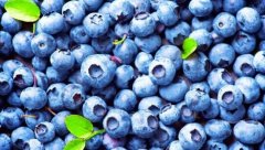 4个吃太多蓝莓的副作用