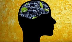 蓝莓对大脑健康的好处