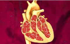 石榴对心脏的5大健康益处
